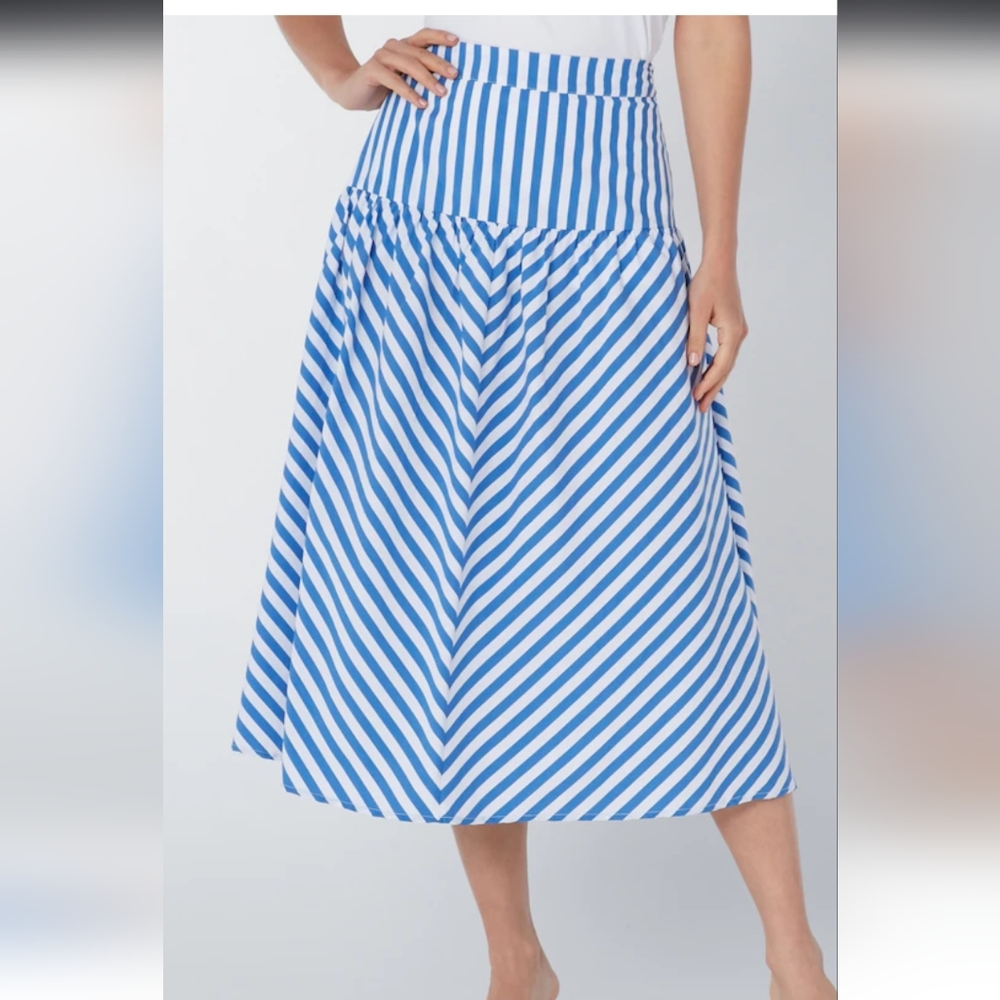 1X GUILLAUME Blue White Striped Women's Plus Skirt